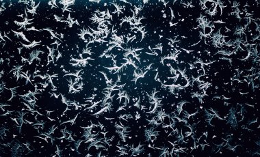 viejo textura metálicadoku dondurulmuş kış