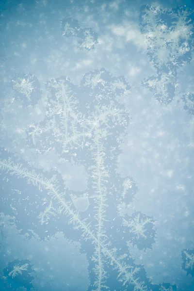 Winter frozen texture — Stock Photo, Image