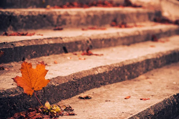 Fall stairs view — Stock Photo, Image