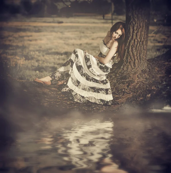 dramatik meadow lake ağaç görünümü