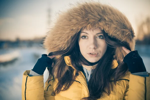 Kış portresi — Stok fotoğraf