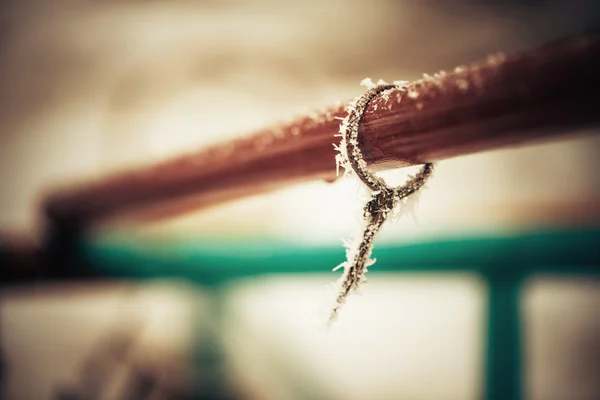 Замороженная веревка — стоковое фото