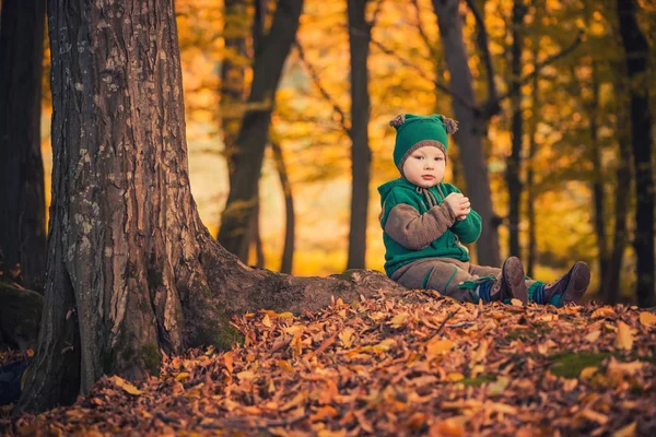 Boy in green at autumn forest — Stock Photo, Image