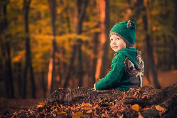 秋の森、緑の少年 — ストック写真