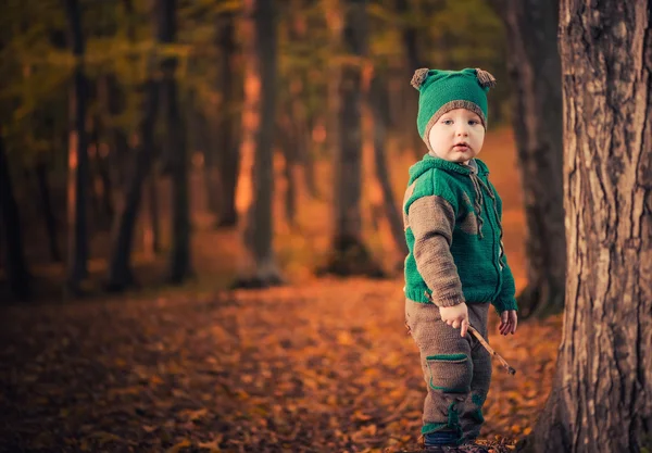 Boy in green at autumn forest — Stock Photo, Image