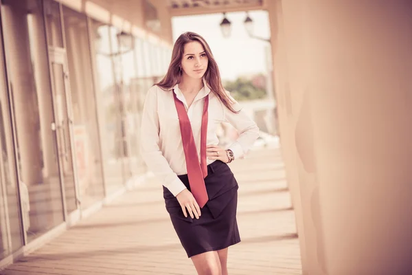 Business lady portrait — Stock Photo, Image