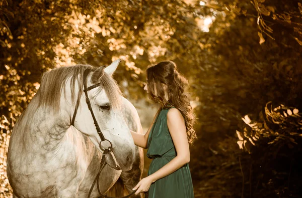 Женщина с лошадью на лесной тропе — стоковое фото