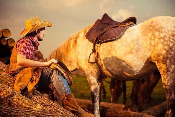 Cowboy och vit häst på gården sunset — Stockfoto