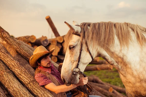 Ковбой и лошадь на коне — стоковое фото