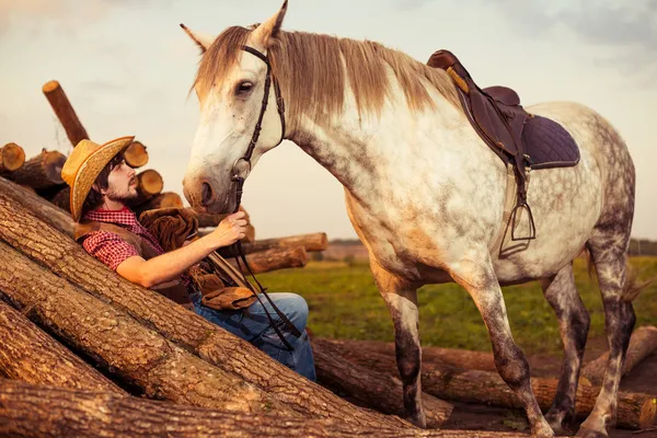 Cowboy og hest på et trelast – stockfoto