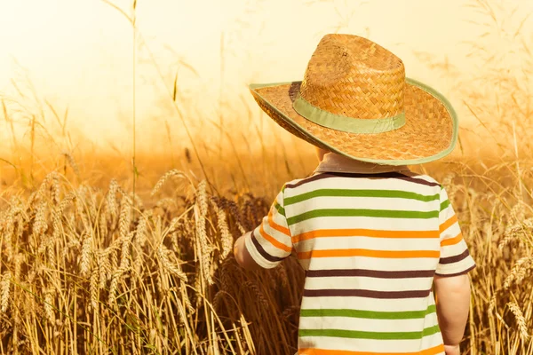 Chlapec v pšenici — Stock fotografie