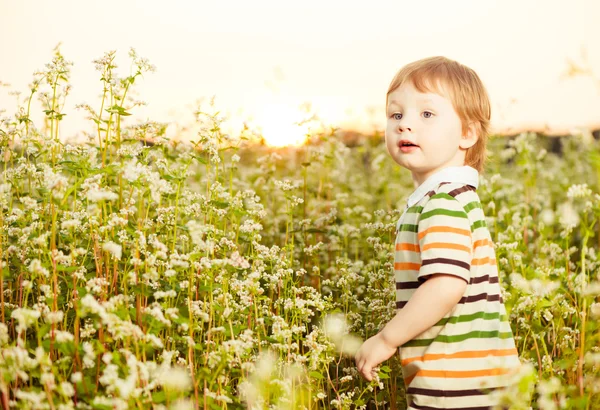 日没の植物でかわいい男の子 — ストック写真