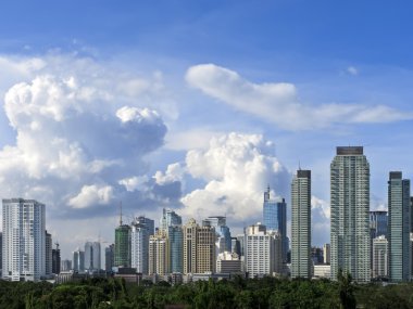 Makati manzarası