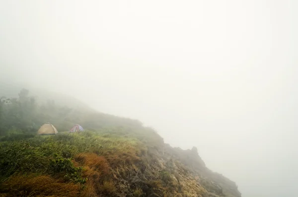 霧の山でキャンプ — ストック写真