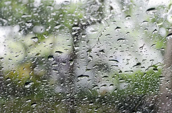 Yağmur damlaları — Stok fotoğraf