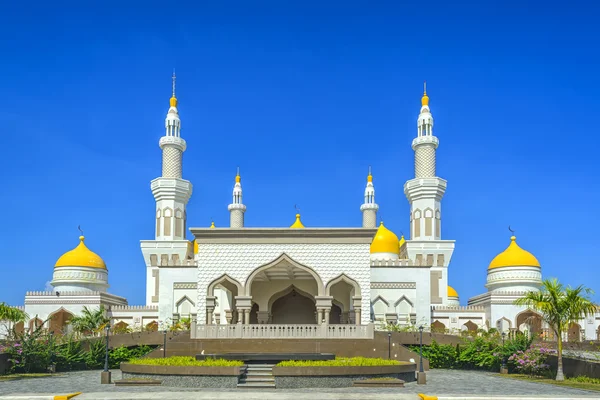 Nieuwe grote moskee — Stockfoto