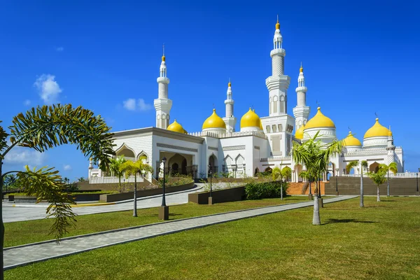 Nueva Gran Mezquita —  Fotos de Stock