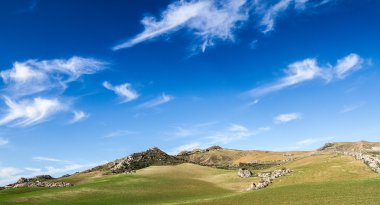 yeşil tarla ve mavi gökyüzü