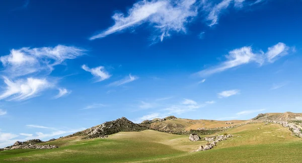 Grönt fält och blå himmel — Stockfoto