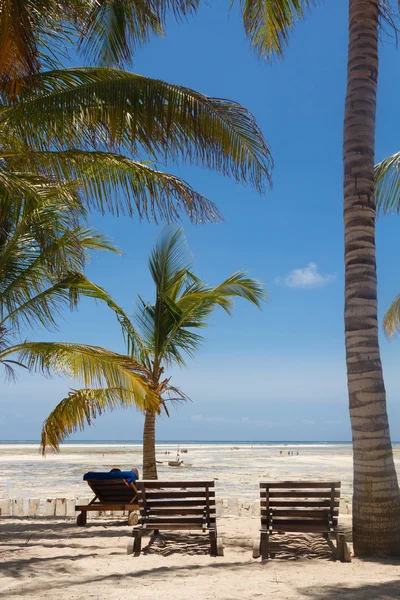 Unter palmen i der watamu bay — Stockfoto