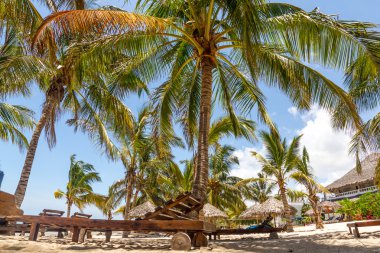 Unter palmen ın der watamu defne, kenya - Afrika