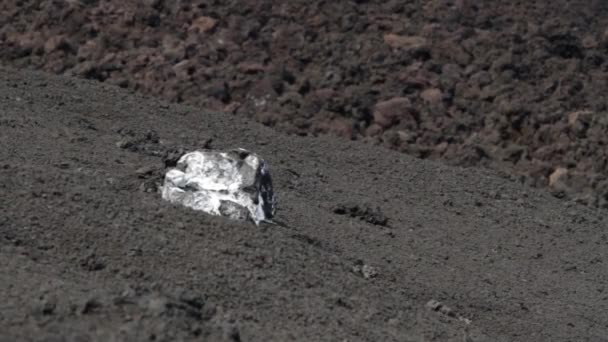 Etna toppmötet kratern — Stockvideo