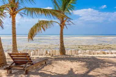 Chair and green trees on a white sand beach. Watamu, Kenya - Afr clipart