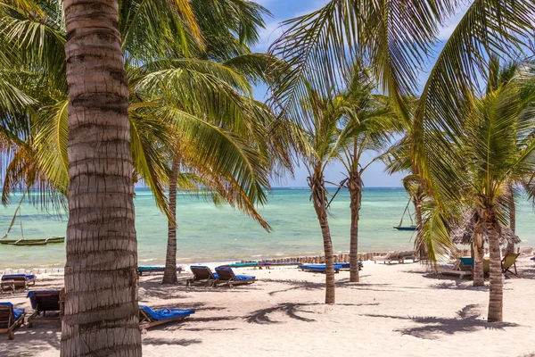 sandalyeler ve yeşil ağaçlar üzerinde beyaz kum plaj. Watamu, kenya