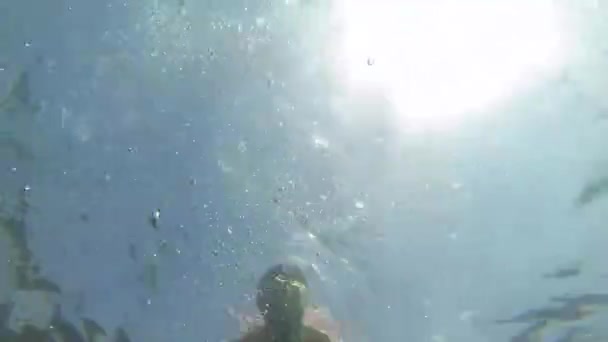 Boy swimming underwater — Stock Video
