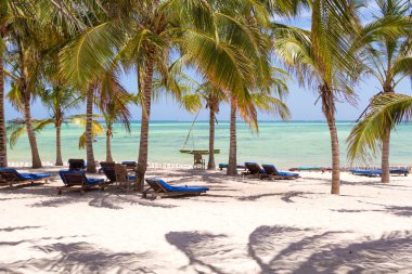 sandalyeler ve yeşil ağaçlar üzerinde beyaz kum plaj. Watamu, kenya