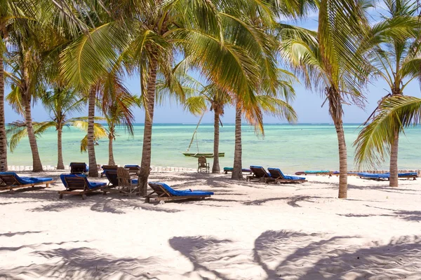 Székek és a zöld fák, egy fehér homokos strand. Watamu, Kenya — Stock Fotó