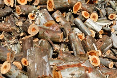 Kışa hazır odun yığını - dış manzara