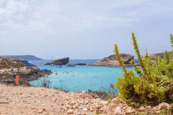 The Blue Lagoon on the tiny island of Comino - Malta — Stock Photo, Image