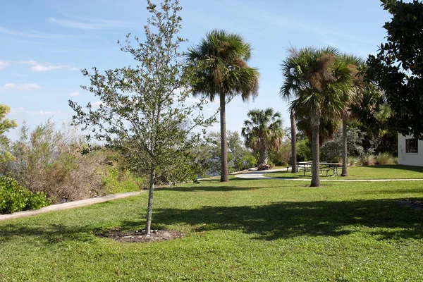 Een verlaten park — Stockfoto