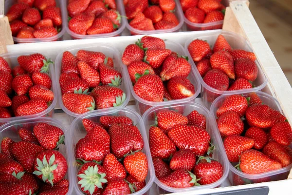 Schachteln mit frischen Erdbeeren — Stockfoto