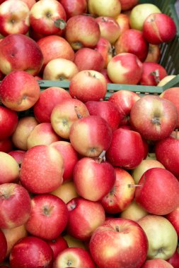 Kırmızı elma sepetleri