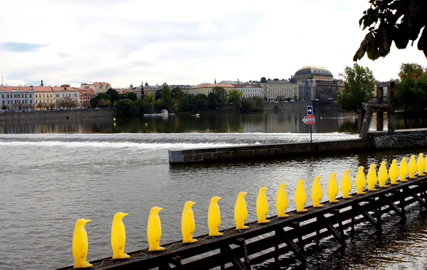 Prag bir river — Stok fotoğraf