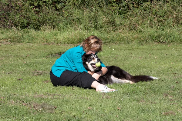 Border Collie und Besitzer — Stockfoto