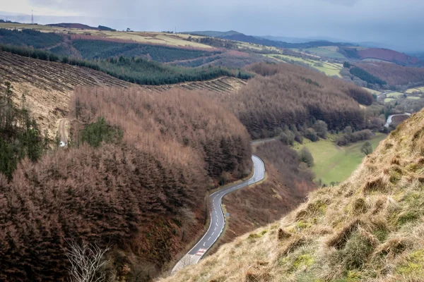 Blick auf eine kurvenreiche Straße auf den Zuckerhut — Stockfoto