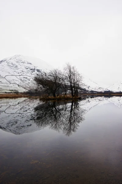 Nieve montaña reflexión —  Fotos de Stock