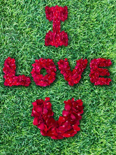 Word of love made from red rose petals on green grass field — Stock Photo, Image