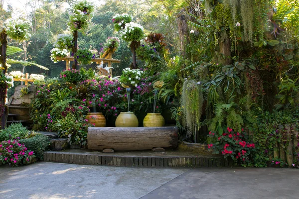 Hermoso patio trasero jardín parque escena — Foto de Stock