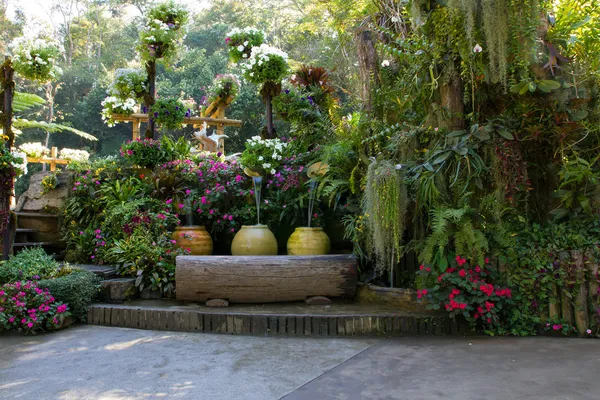 Красива сцена парку саду на задньому дворі Ліцензійні Стокові Фото