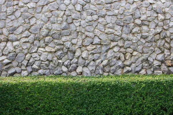 Kamenné zdi a dekorativní zahrada — Stock fotografie