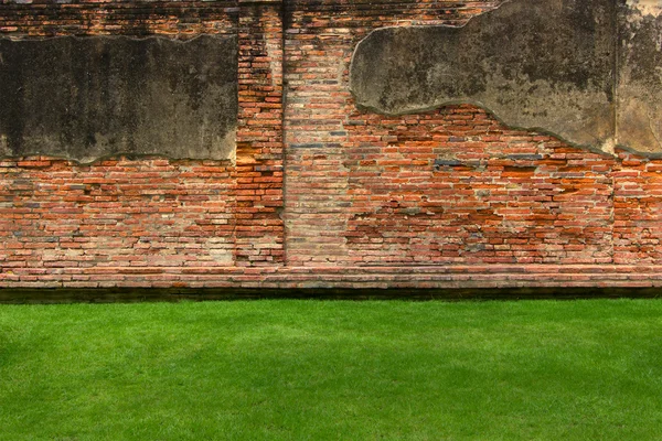 Oude bakstenen muur achtergrond met groene gras — Stockfoto
