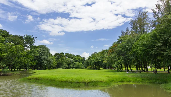 Grön gräsmatta och träd med blå himmel vid den offentliga parken — Stockfoto