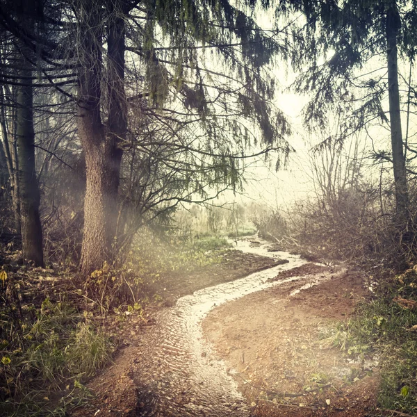 Bakgrund-57 — Stockfoto