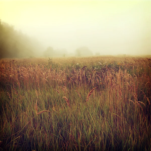 Background-18 — Stock Image Background-18 Royalty Free Stock Photos