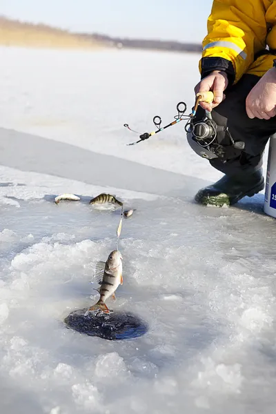 Pesca no gelo — Fotografia de Stock