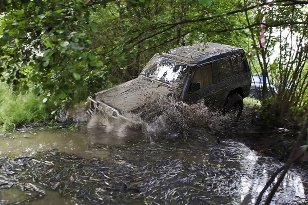 RAID 4 x 4 faj — Stock Fotó